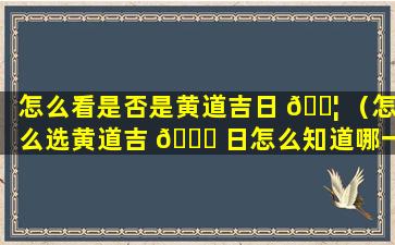 怎么看是否是黄道吉日 🐦 （怎么选黄道吉 🍁 日怎么知道哪一天是黄道吉日）